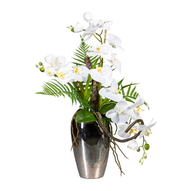 Orchid arrangement 70cm