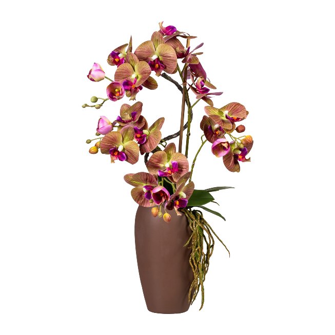 Orchid arrangement ca 70cm