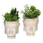 Artificial plant succulent arrangement 16cm