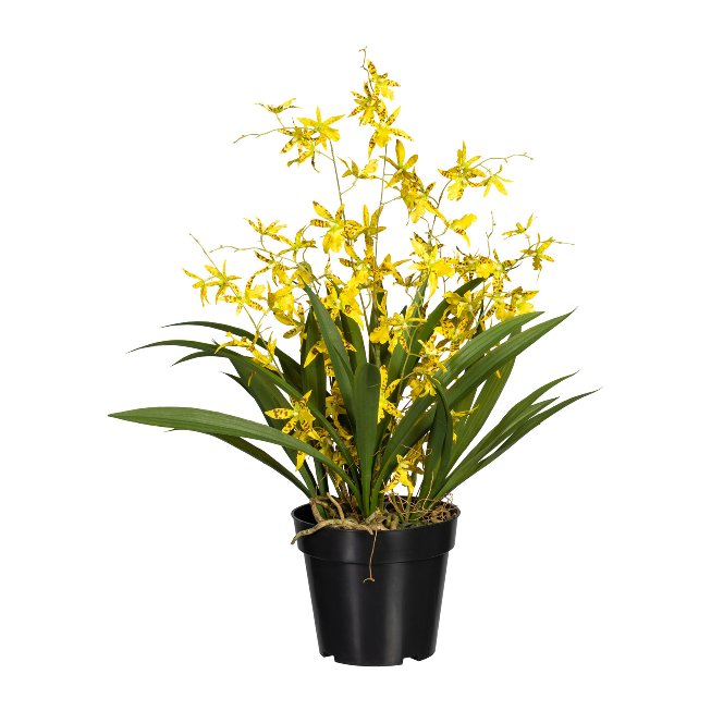 Artificial plant orchid in black pot