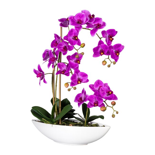 Artificial plant orchid in white ceramic ship