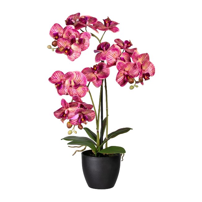 Artificial plant orchid in plastic pot