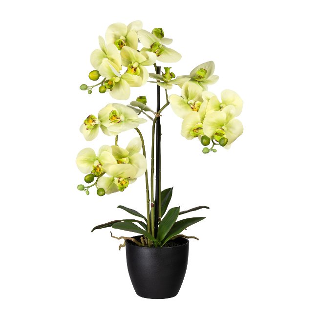 Artificial plant orchid in black plastic pot