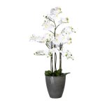 Weiße Orchidee mit Erde 110cm