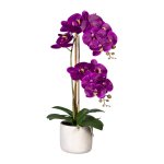 Artificial plant orchid in cement pot