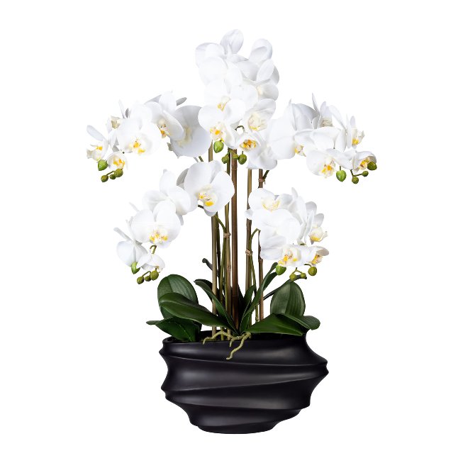 Artificial plant orchids in black plastic vase