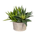 Kunstpflanze Aloe 23cm