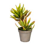 Kunstpflanze Aloe plicatilis 30cm