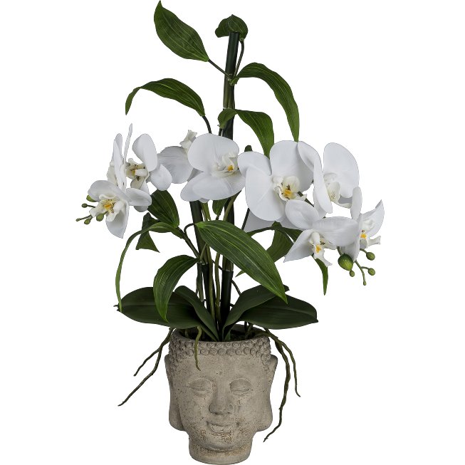 Orchideen-Bambus Arrangement im Buddha-Topf