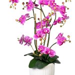Kunstpflanzen Orchideen in weißer Vase