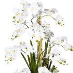 Artificial plants orchids in vase