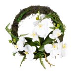 Wall wreath orchid with roots and leaves