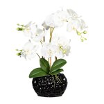 Artificial plant orchids in black ceramic vase