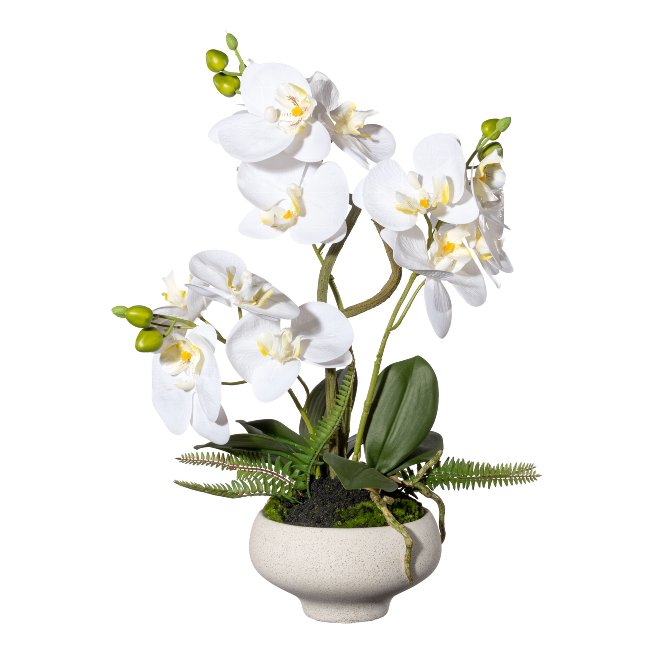 Artificial plant orchids in white vase