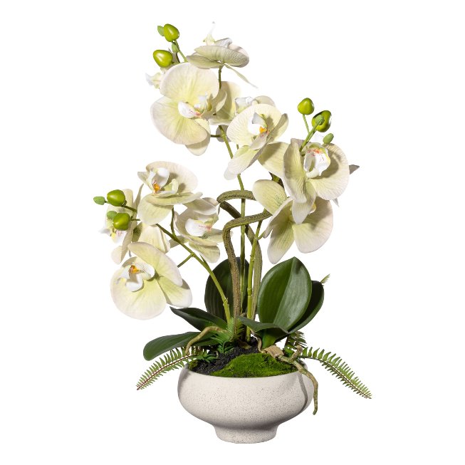 Artificial plant orchids in white vase