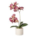 Artificial plant orchids in white vase
