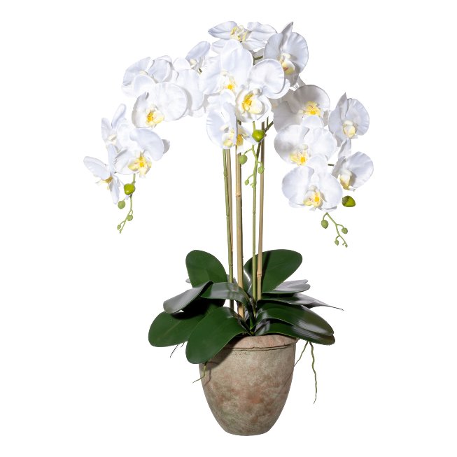 Artificial plant orchids w.leaves u.root in terracotta pot