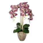 Artificial plant orchids w.leaves u.root in terracotta pot