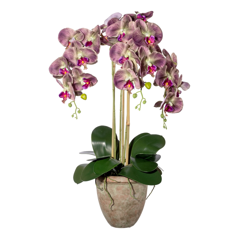 Orchideen Kunstpflanze | m.Blätter Homefinity Terracottopf u.Wurzel im