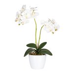 Artificial plant orchids in white ceramic pot