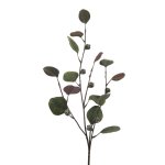 Eucalyptus Branch 6/Poly, 73