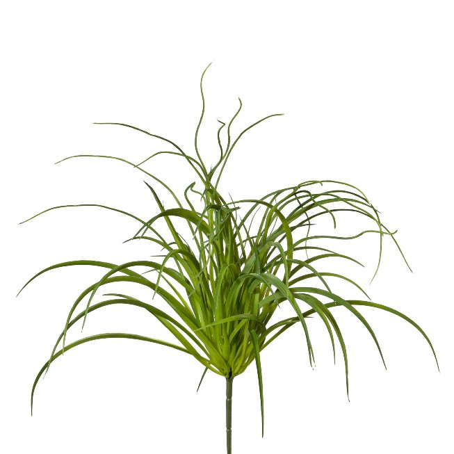 Seegrasbusch 1/Poly