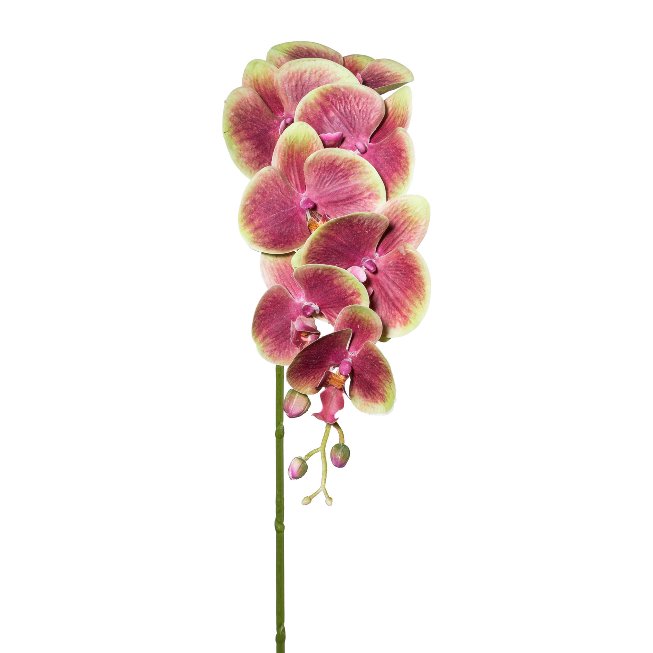 Orchid stem 3D-print