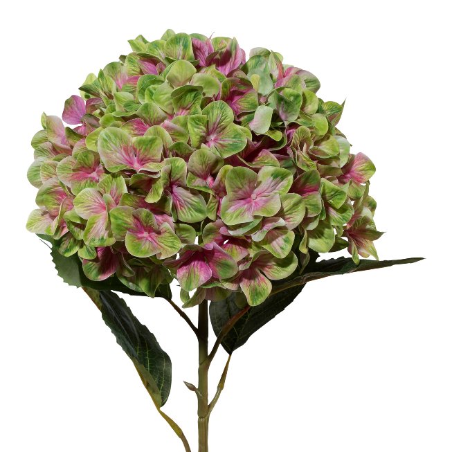 Hydrangea XXL 3D-print