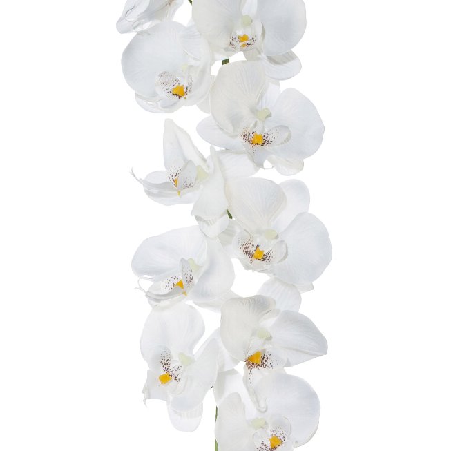 Artificial plant orchid stem