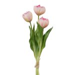 Gefüllte Tulpen im 3er Bund