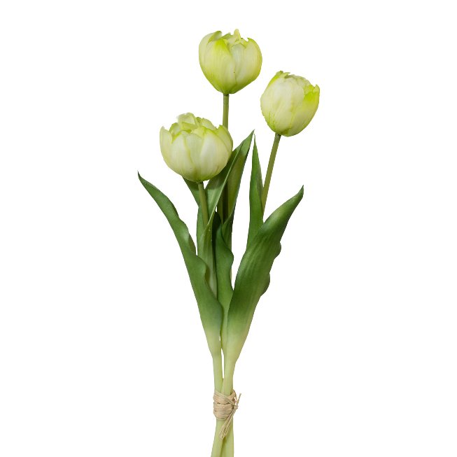 Gefüllte Tulpen im 3er Bund