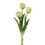 Filled tulips in bunch of 3
