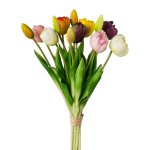 Gefüllte Tulpen im 12er Bund