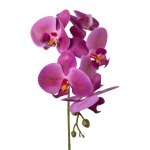 Orchid stem 45cm
