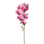 Orchid stem 86cm