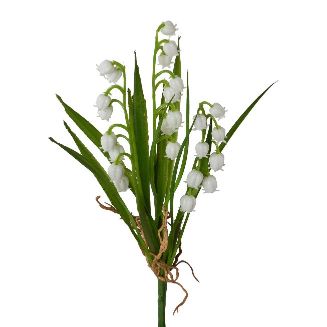 Lily of the valley bush
