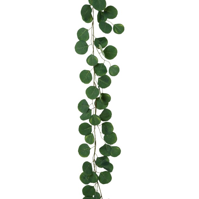 Eucalypthus garland 1/poly