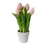 Tulips in ceramic pot