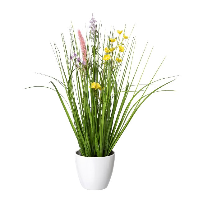 Grass mix with flowers in white pot