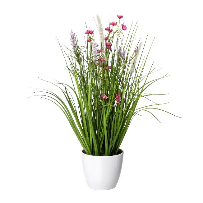 Grass mix with flowers in white pot