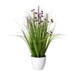 Gras-Mix mit Blüten im weißen Topf