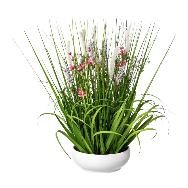 Gras-Mix mit Blüten in weißer Schale