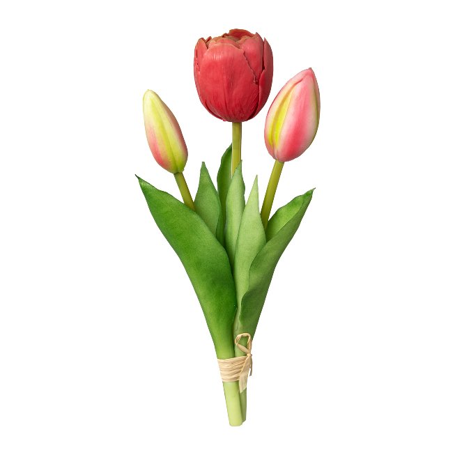 Tulpen im 3er Bund