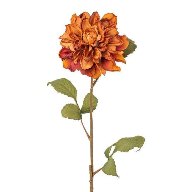 dahlia, 71cm, brown