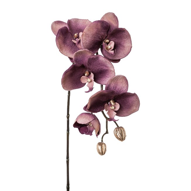 Orchid stem 66cm