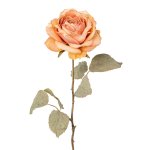 Rose, 56 cm, antique pink