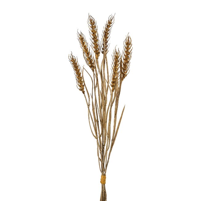 ear of corn x 6, 48cm,