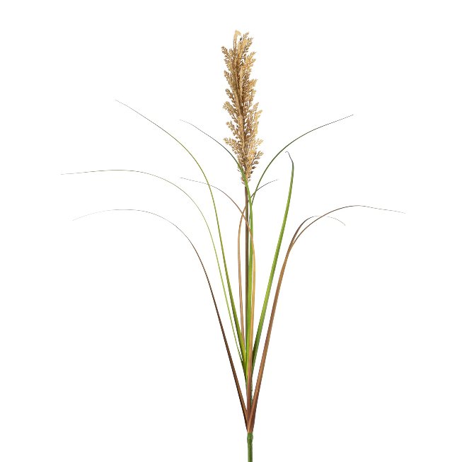 Artificial panicle millet, 107 cm
