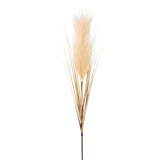 Pampas grass 6/poly, 115cm,