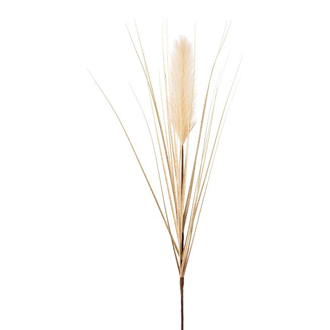 Pampas grass 6/poly, 98cm,